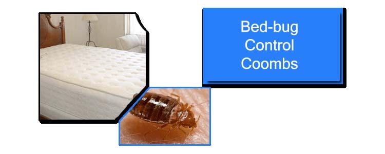 Bed Bug Control Coombs